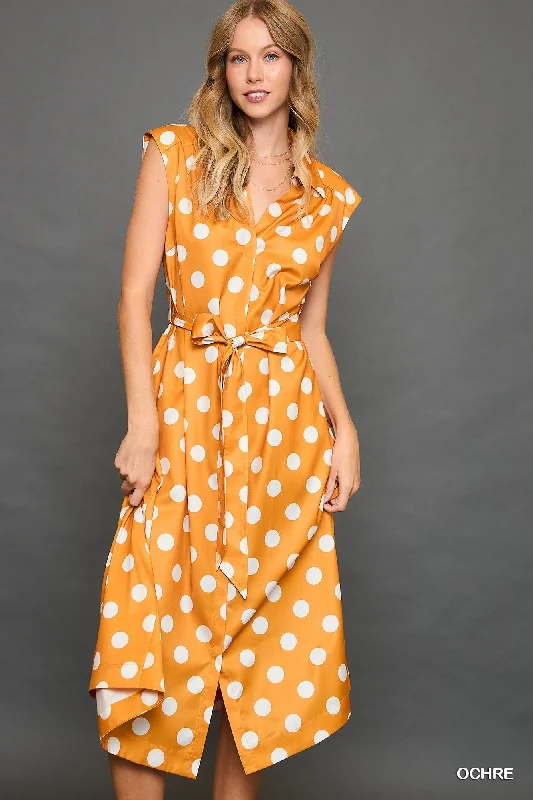Polkadot Button Down Dress